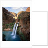 Havasu Falls by Anonymous