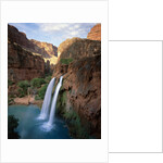 Havasu Falls by Anonymous