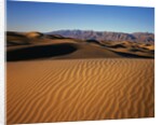 Death Valley Sand Dunes by Anonymous