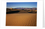Death Valley Sand Dunes by Anonymous