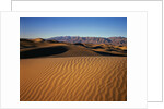 Death Valley Sand Dunes by Anonymous