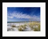 Sea Oats and White Sand Dunes by Anonymous