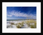 Sea Oats and White Sand Dunes by Anonymous