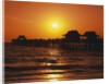 Sun Setting Above Naples Pier by Anonymous