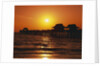 Sun Setting Above Naples Pier by Anonymous