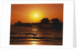 Sun Setting Above Naples Pier by Anonymous