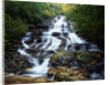 Minnehaha Falls by Anonymous