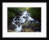 Minnehaha Falls by Anonymous
