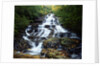 Minnehaha Falls by Anonymous