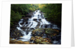 Minnehaha Falls by Anonymous