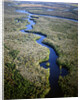 Altamaha River by Anonymous