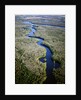 Altamaha River by Anonymous