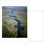 Altamaha River by Anonymous