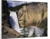 Rainbow at Lower Yellowstone Falls by Anonymous