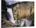 Rainbow at Lower Yellowstone Falls by Anonymous