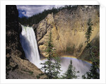 Rainbow at Lower Yellowstone Falls by Anonymous