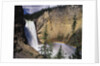 Rainbow at Lower Yellowstone Falls by Anonymous
