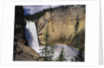 Rainbow at Lower Yellowstone Falls by Anonymous