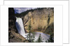 Rainbow at Lower Yellowstone Falls by Anonymous