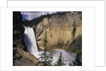 Rainbow at Lower Yellowstone Falls by Anonymous