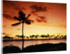 Sunset at Anaehoomalu Bay by Anonymous