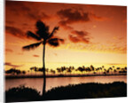 Sunset at Anaehoomalu Bay by Anonymous