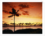 Sunset at Anaehoomalu Bay by Anonymous