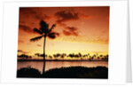 Sunset at Anaehoomalu Bay by Anonymous