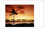 Sunset at Anaehoomalu Bay by Anonymous