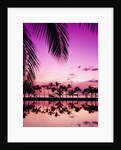Sunset at Anaehoomalu Bay by Anonymous