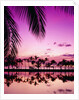 Sunset at Anaehoomalu Bay by Anonymous