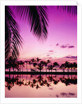 Sunset at Anaehoomalu Bay by Anonymous