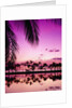 Sunset at Anaehoomalu Bay by Anonymous