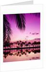 Sunset at Anaehoomalu Bay by Anonymous