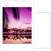Sunset at Anaehoomalu Bay by Anonymous