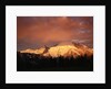 Sunrise on Mount Rainier by Anonymous