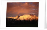 Sunrise on Mount Rainier by Anonymous