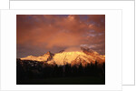 Sunrise on Mount Rainier by Anonymous