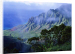 Light Fog in Kalalau Valley by Anonymous