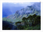 Light Fog in Kalalau Valley by Anonymous