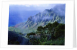 Light Fog in Kalalau Valley by Anonymous