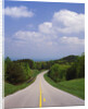 Highway Passing Through Taledega National Forest by Anonymous