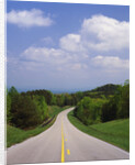 Highway Passing Through Taledega National Forest by Anonymous