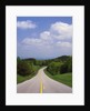 Highway Passing Through Taledega National Forest by Anonymous