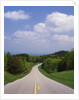 Highway Passing Through Taledega National Forest by Anonymous