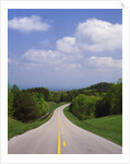 Highway Passing Through Taledega National Forest by Anonymous