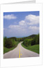 Highway Passing Through Taledega National Forest by Anonymous