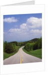 Highway Passing Through Taledega National Forest by Anonymous
