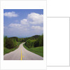 Highway Passing Through Taledega National Forest by Anonymous