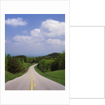 Highway Passing Through Taledega National Forest by Anonymous